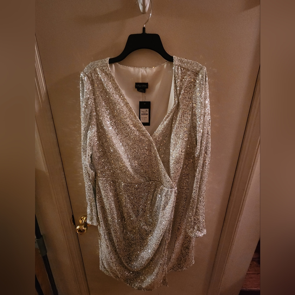 Silver Sequin dress NWT